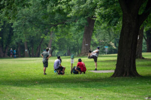 Group of disc golfers playing in a park